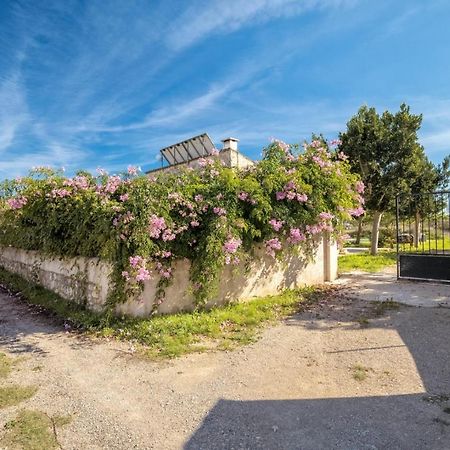 Es Camp Pla Vila Sineu  Exterior foto