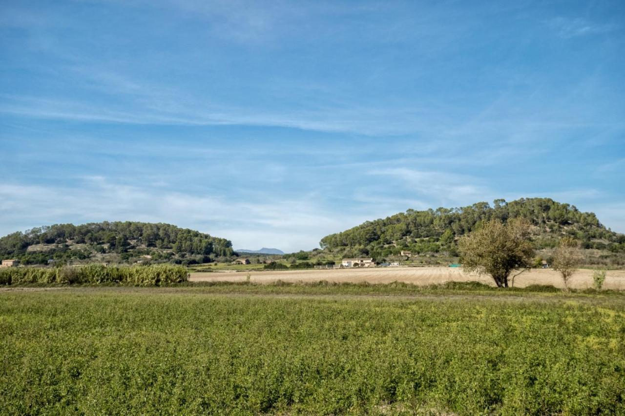 Es Camp Pla Vila Sineu  Exterior foto