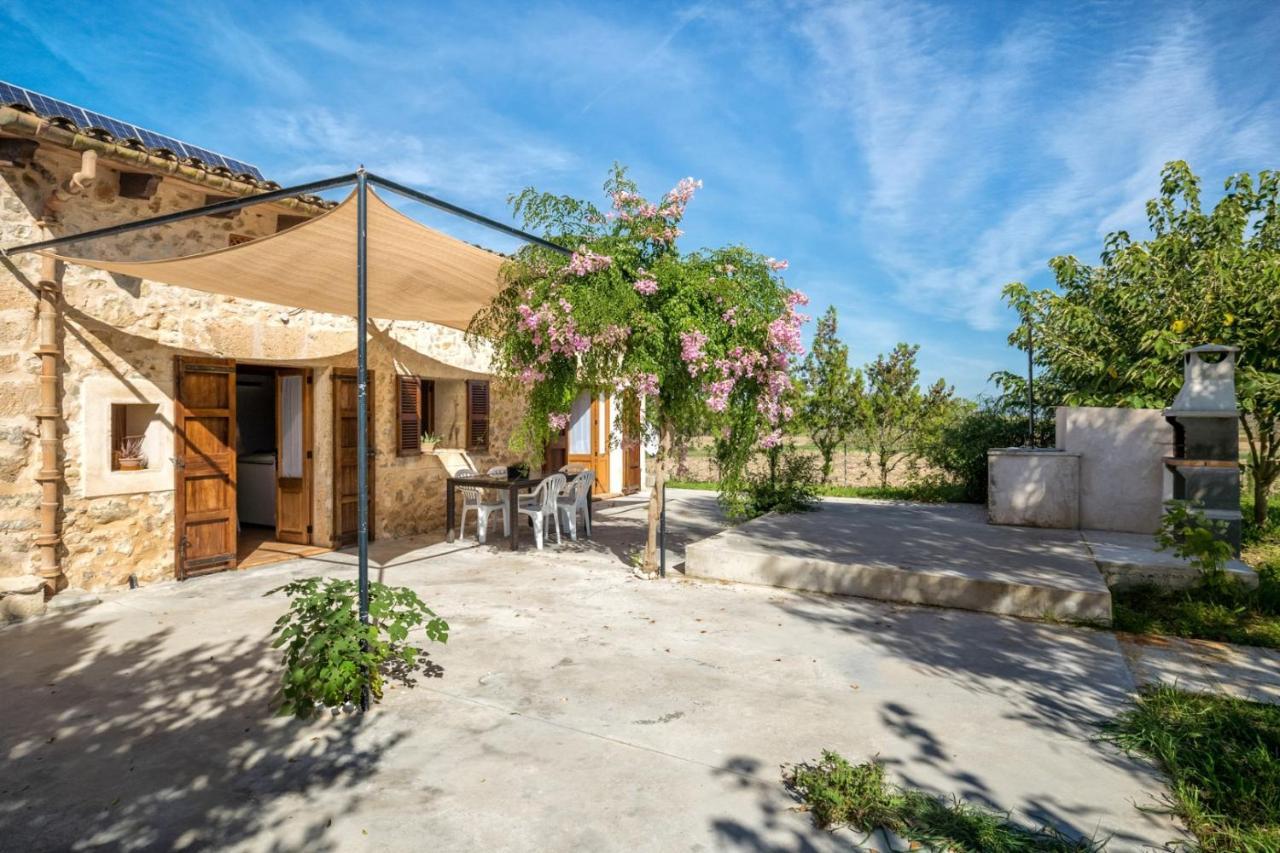 Es Camp Pla Vila Sineu  Exterior foto